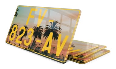 Plaque Immatriculation US California
