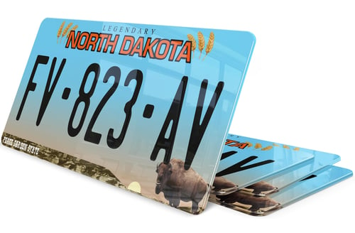 Plaque immatriculation Dakota du Nord 2 USA 30x15