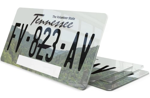 Plaque immatriculation Tennessee USA 30x15