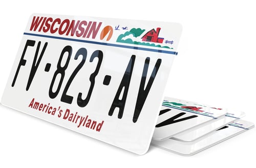 Plaque immatriculation Wisconsin USA 30x15
