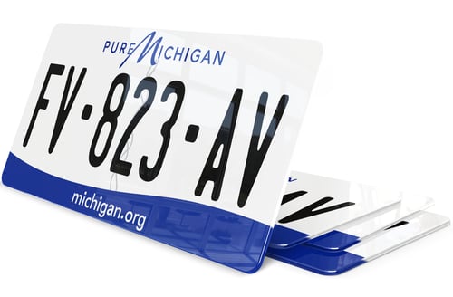 Plaque immatriculation Michigan USA 30x15