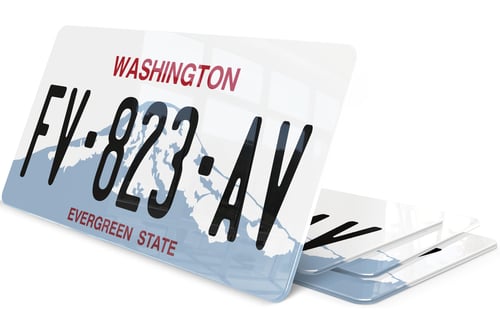 Plaque immatriculation Washington Evergreen USA 30x15