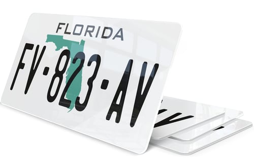 Plaque immatriculation Floride USA 30x15cm