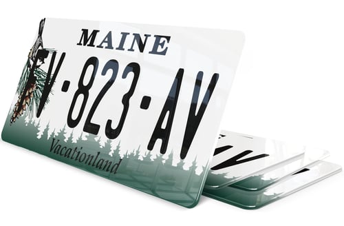 Plaque immatriculation Maine USA 30x15