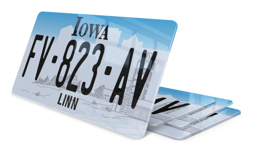 Plaque immatriculation Iowa Linn USA 30x15