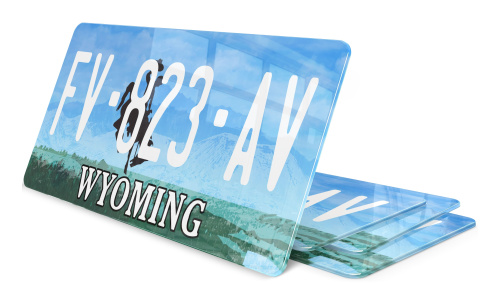 Plaque immatriculation Wyoming USA 30x15
