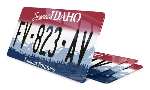 Plaque immatriculation Idaho USA 30x15