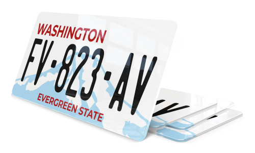 Plaque immatriculation Washington evergreen 2 USA 30x15