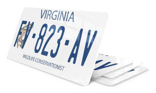 Plaque immatriculation Virginia 2 USA 30x15
