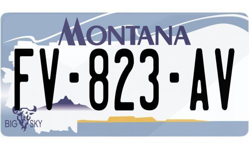 Plaque immatriculation Montana USA 30x15cm