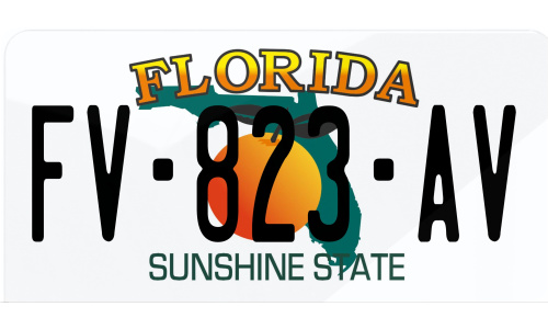 Plaque immatriculation Florida USA 30x15cm