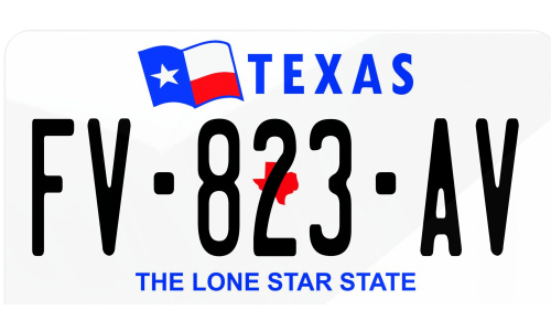 Plaque immatriculation Texas USA 30x15cm
