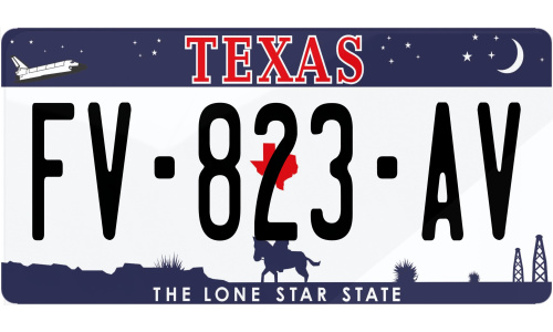 Plaque immatriculation Texas 2 USA 30x15cm