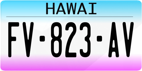 Plaque immatriculation Hawai USA 30x15cm