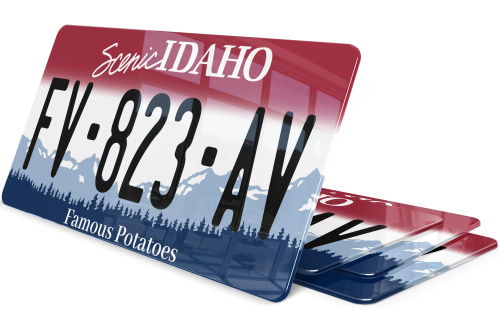 Plaque immatriculation Idaho USA 30x15