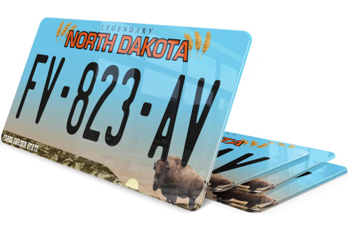 Plaque immatriculation Dakota du Nord 2 USA 30x15