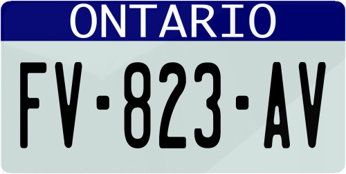 Plaque immatriculation Ontario USA 30x15cm