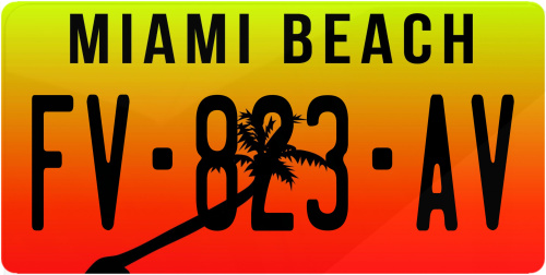 Plaque immatriculation Miami Beach USA 30x15cm