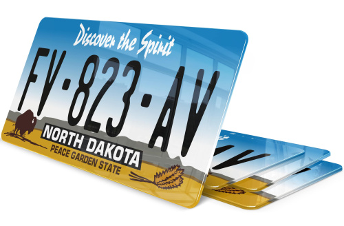 Plaque immatriculation Dakota du Nord USA 30x15