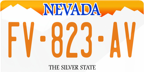 Plaque immatriculation Nevada USA 30x15cm