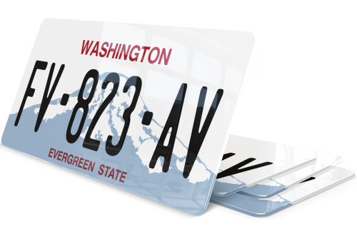 Plaque immatriculation Washington Evergreen USA 30x15